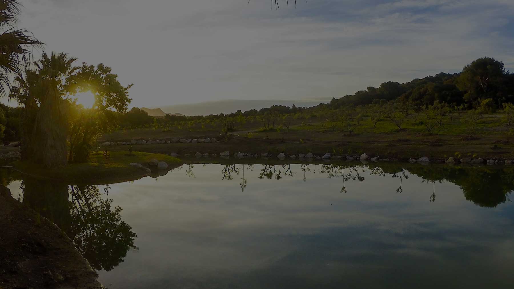 domaine-temps-perdu